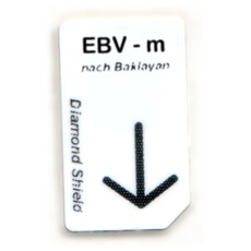 EBV - m,  Epstein-Barr virus