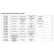 DTS® testdoos Anatomie Zenuwstelsel/Zintuigen II