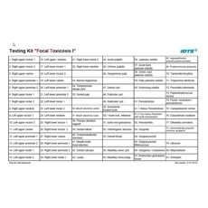 Focal toxicosis I + II