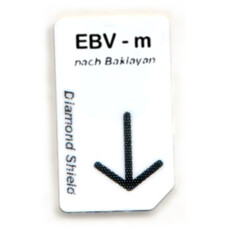 EBV - m, Epstein-Barr virus